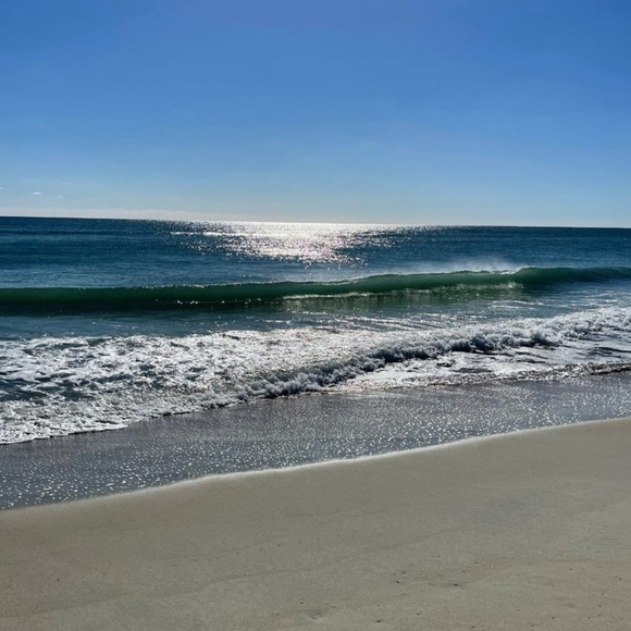 Meet your Posher, Eva - Picture 6 of 8